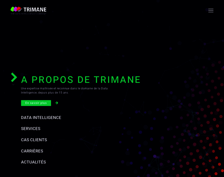 Trimane.fr thumbnail