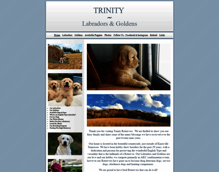 Trinitylabradors.net thumbnail