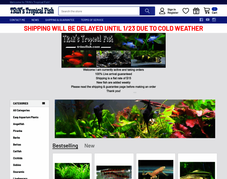 Trinsfish.com thumbnail