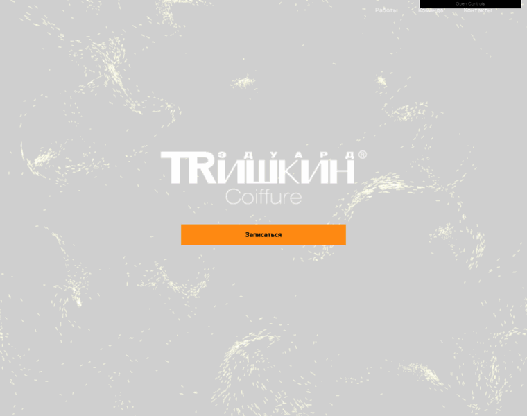 Trishkin.ru thumbnail
