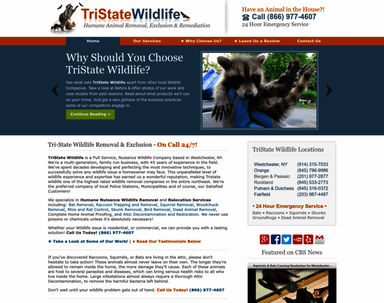 Tristatewildlife.com thumbnail