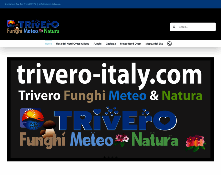 Trivero-italy.com thumbnail