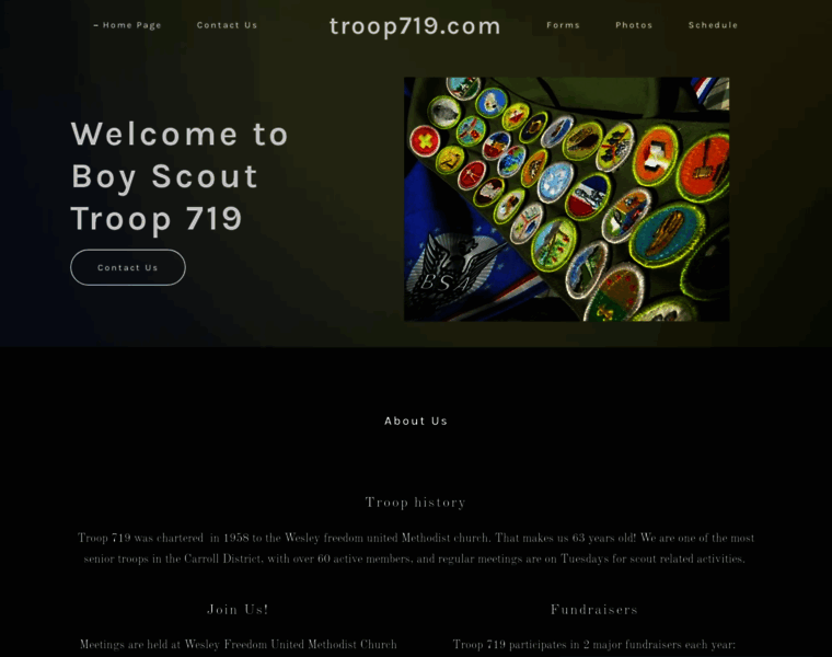 Troop719.com thumbnail