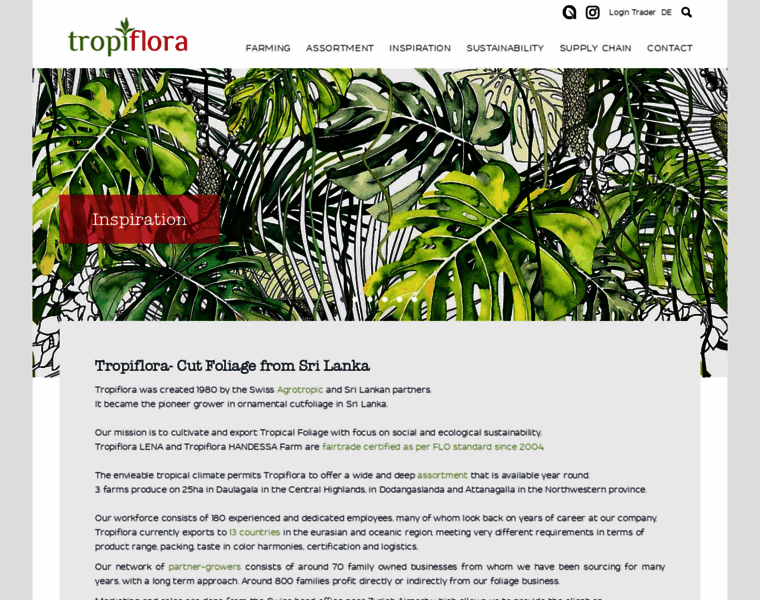 Tropi-flora.com thumbnail