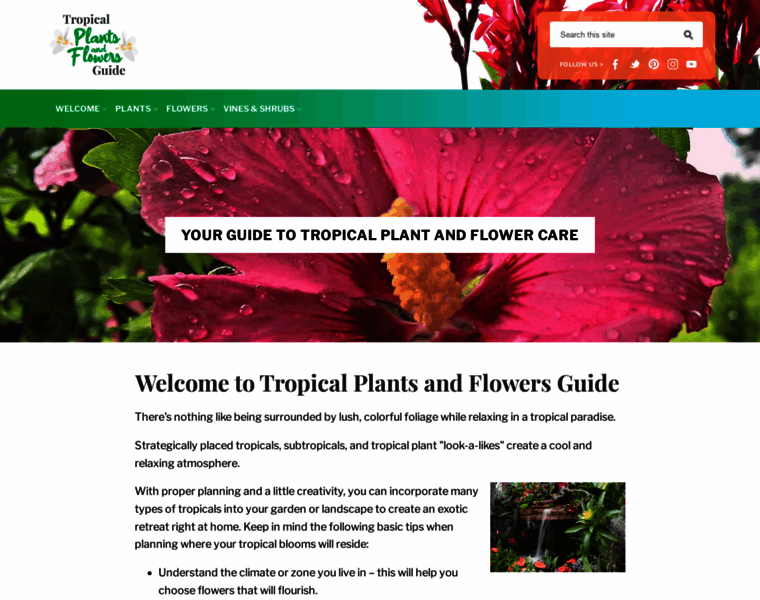 Tropical-plants-and-flowers-guide.com thumbnail