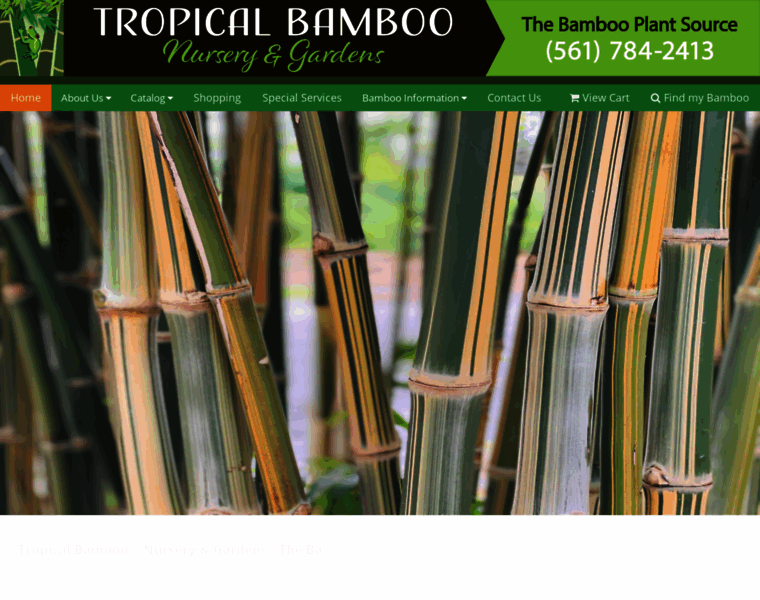 Tropicalbamboo.com thumbnail