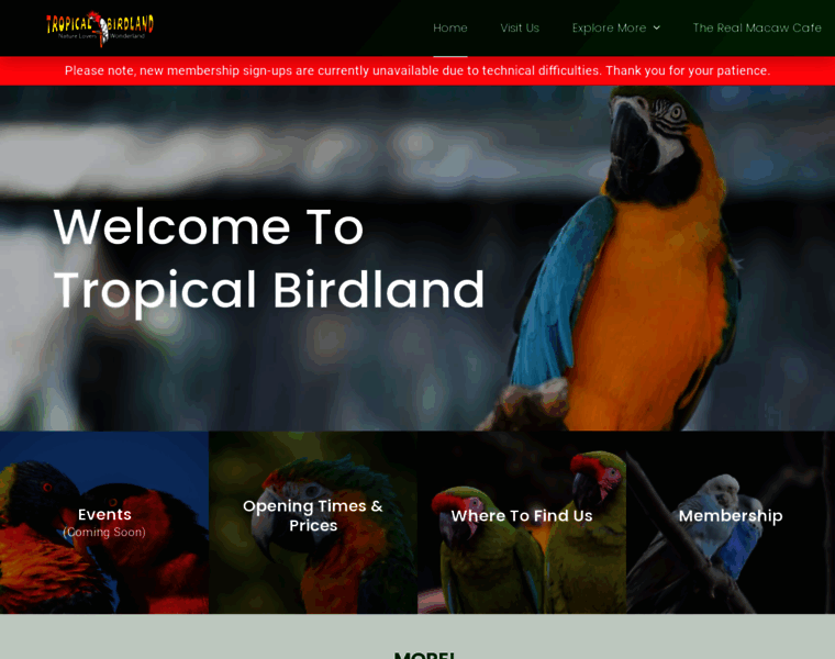 Tropicalbirdland.com thumbnail