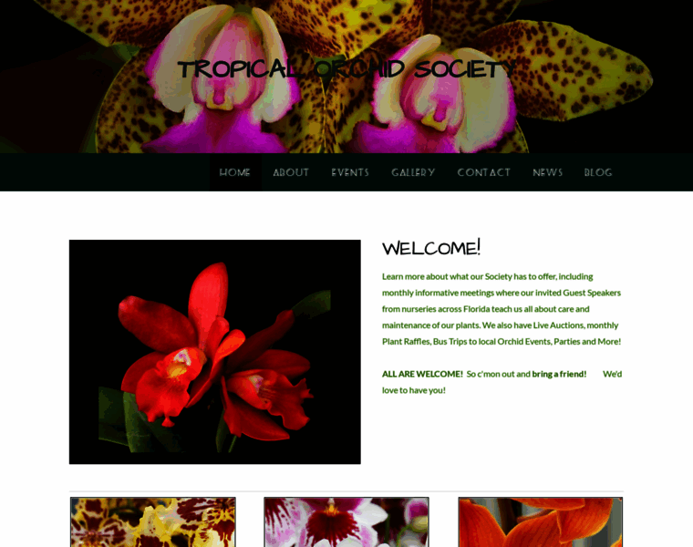 Tropicalorchidsociety.org thumbnail