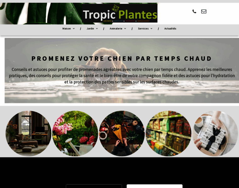Tropicplantes.fr thumbnail