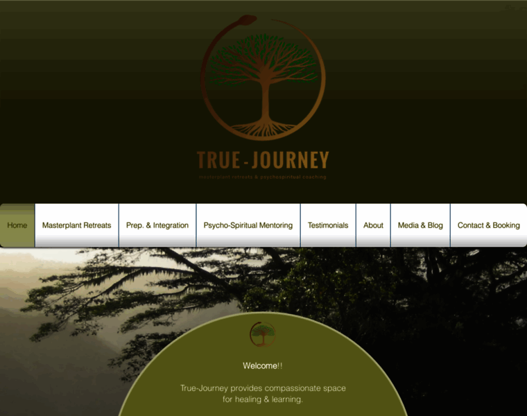 True-journey.net thumbnail