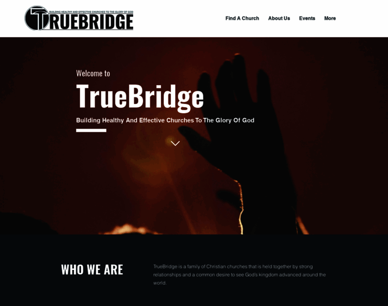 Truebridge.org thumbnail
