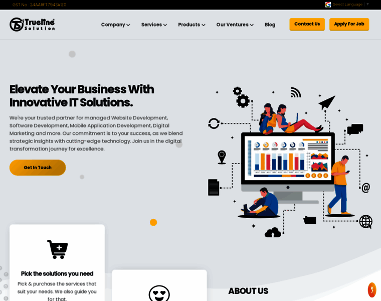 Truelinesolution.com thumbnail