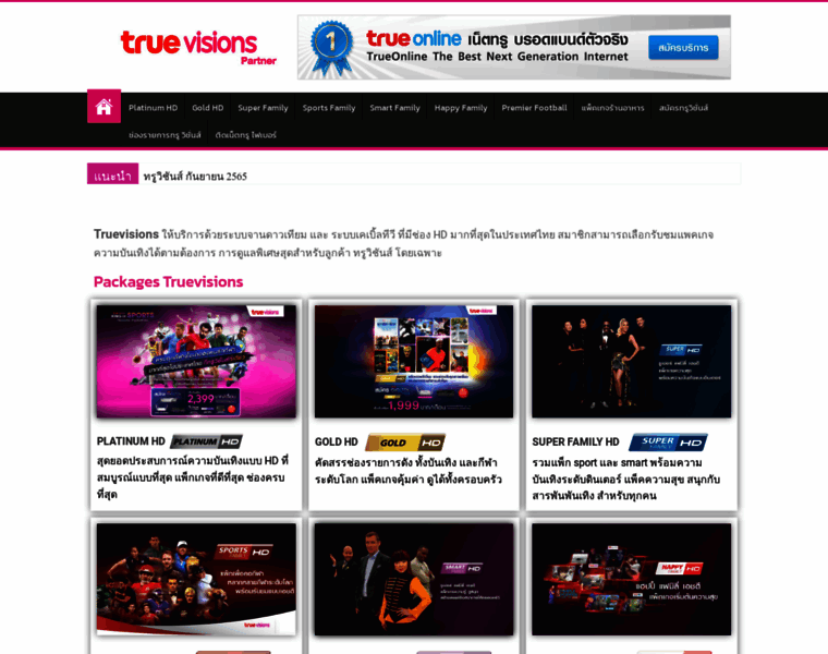 Truevisions.info thumbnail
