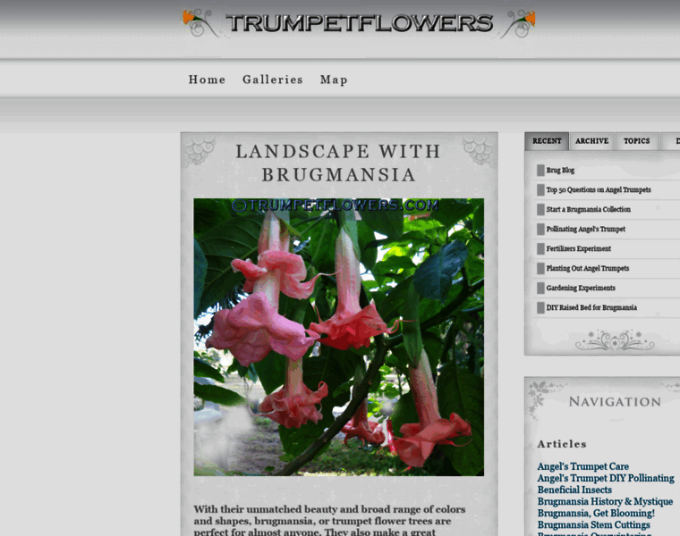 Trumpetflowers.com thumbnail
