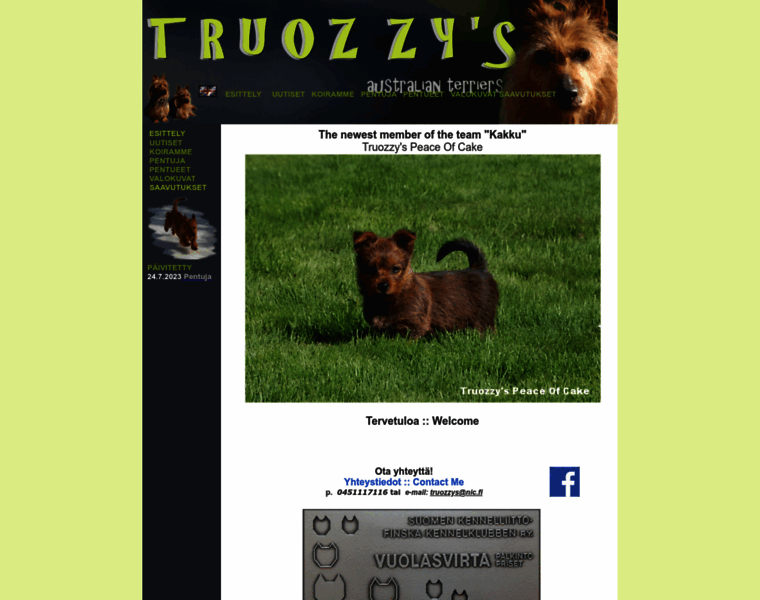 Truozzys.com thumbnail