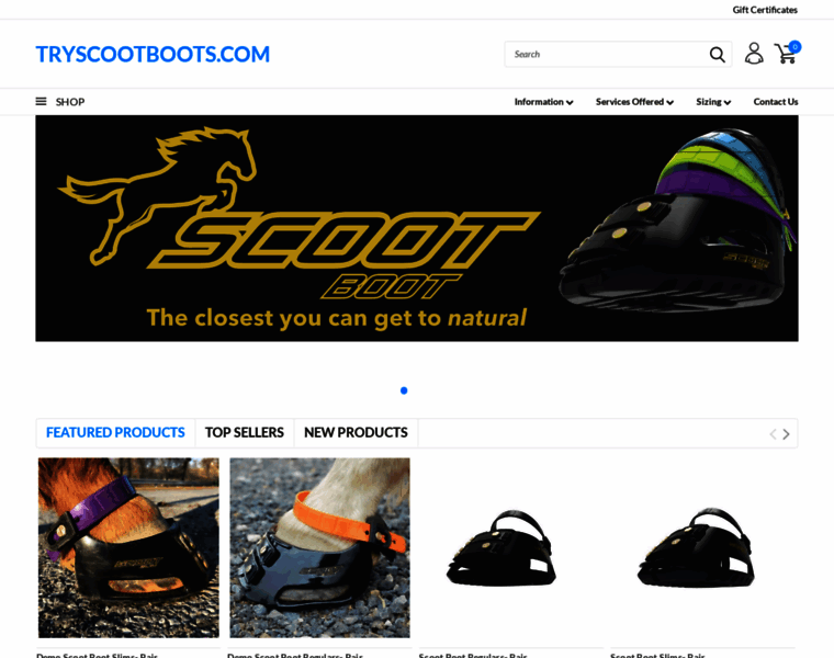 Tryscootboots.com thumbnail