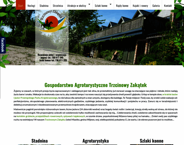 Trzcinowyzakatek.pl thumbnail