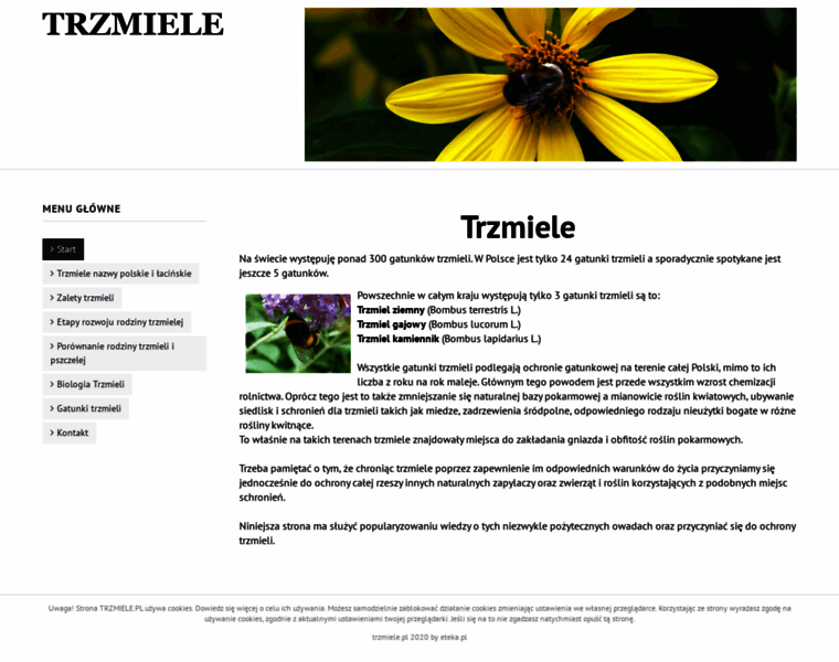 Trzmiele.pl thumbnail