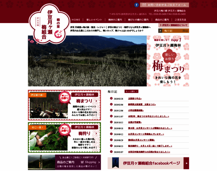 Tsukigase.net thumbnail