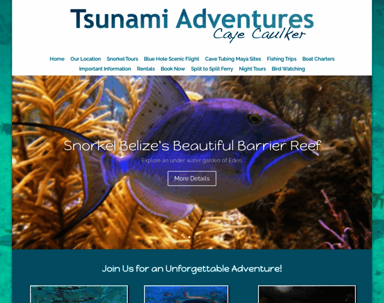 Tsunamiadventures.com thumbnail