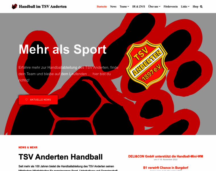 Tsv-anderten-handball.de thumbnail