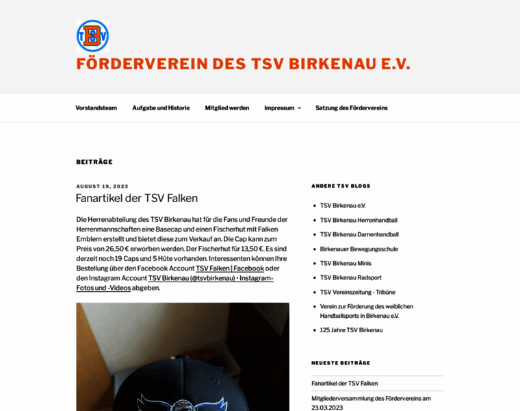 Tsv-birkenau-foerderverein.de thumbnail