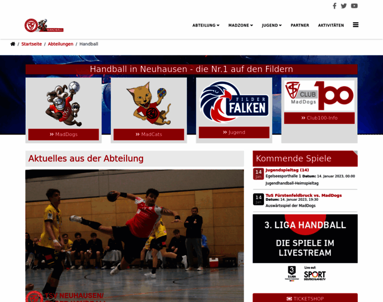 Tsvneuhausen-handball.de thumbnail