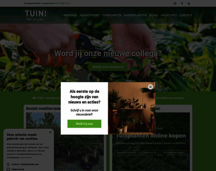 Tuincentrumtuin.nl thumbnail