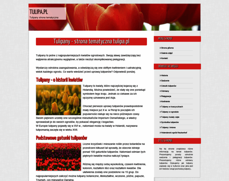 Tulipa.pl thumbnail