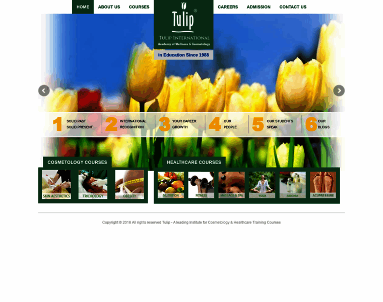 Tulipindia.net thumbnail