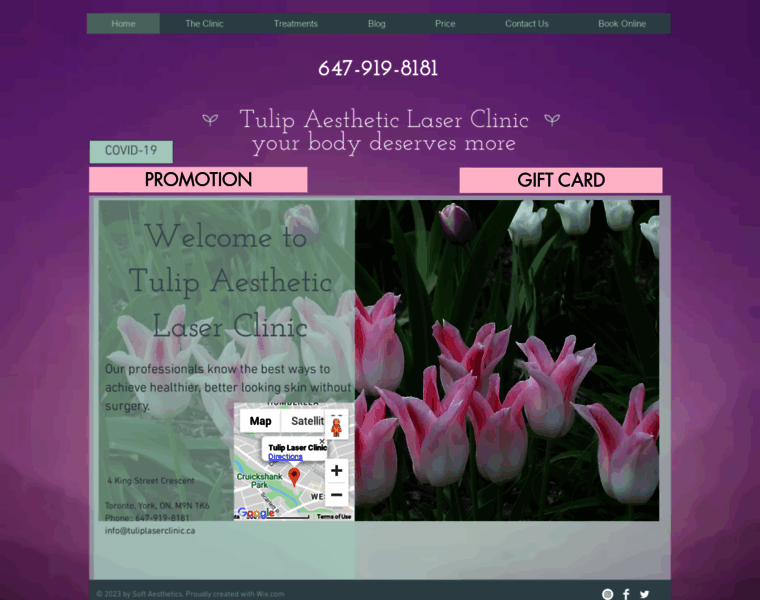 Tuliplaserclinic.ca thumbnail