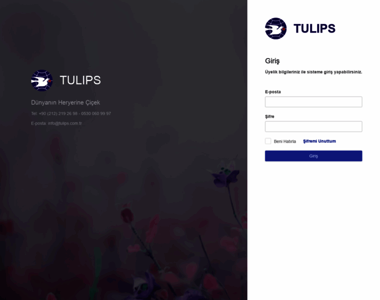 Tulips.com.tr thumbnail