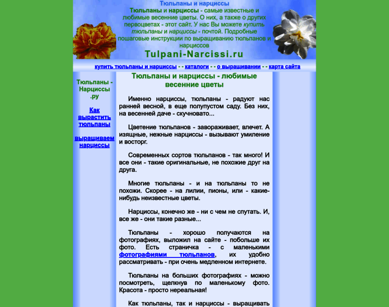 Tulpani-narcissi.ru thumbnail Tulpani-narcissi.ru thumbnail