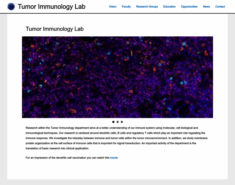 Tumor-immunology.com thumbnail