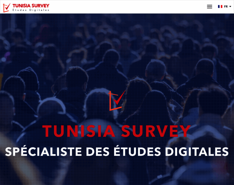 Tunisia-survey.com thumbnail