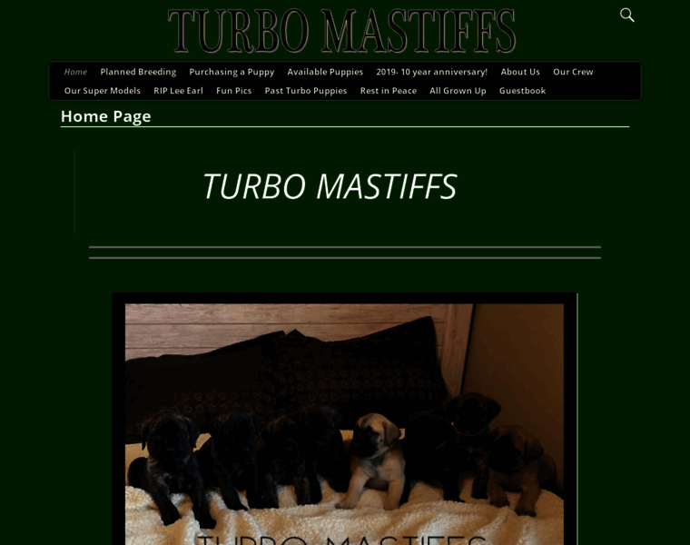 Turbomastiffs.net thumbnail