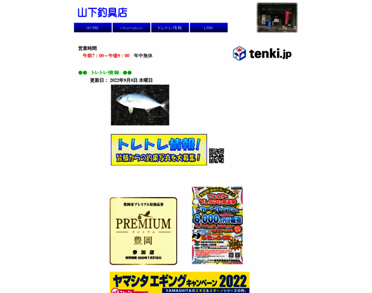 Turiguyt.sakura.ne.jp thumbnail