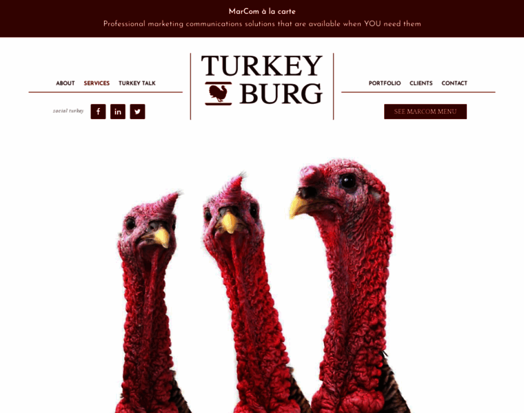 Turkeyburg.ca thumbnail