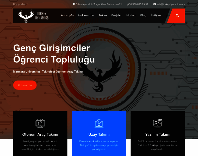 Turkeydynamics.com thumbnail