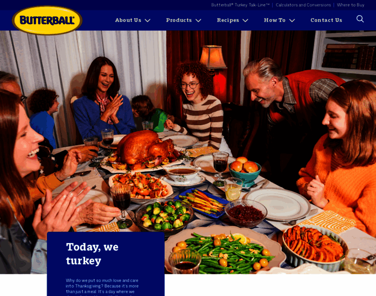 Turkeysuccess.com thumbnail