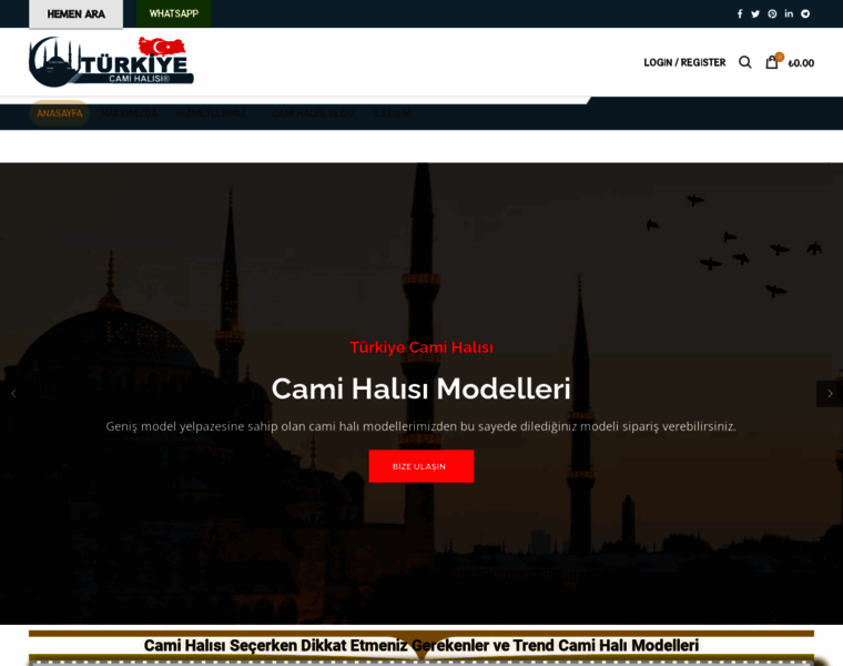 Turkiyecamihalisi.com thumbnail