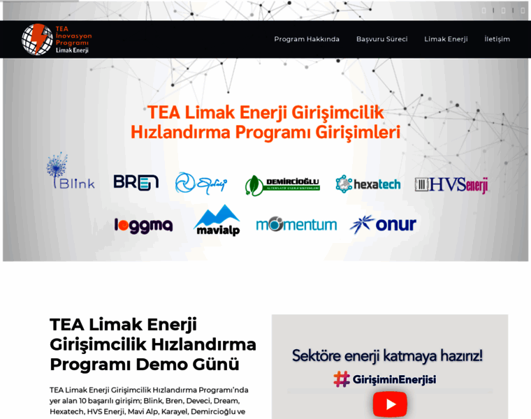Turkiyeninenerjiakademisi.com thumbnail