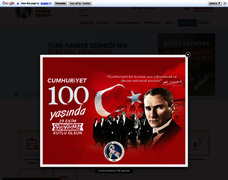 Turkkanserdernegi.org thumbnail