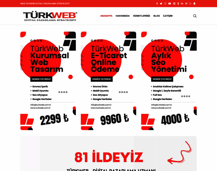 Turkweb.com.tr thumbnail
