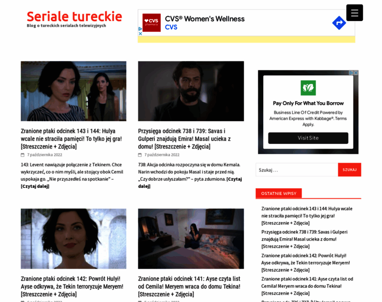 Turkweb.pl thumbnail