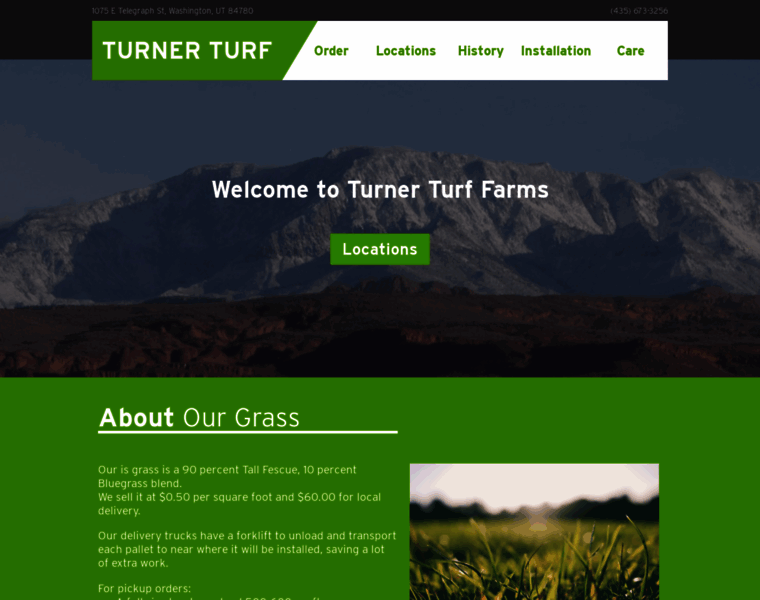 Turnerturf.com thumbnail