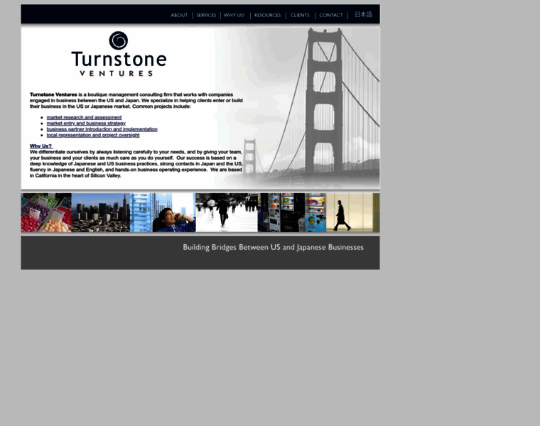 Turnstoneventures.com thumbnail