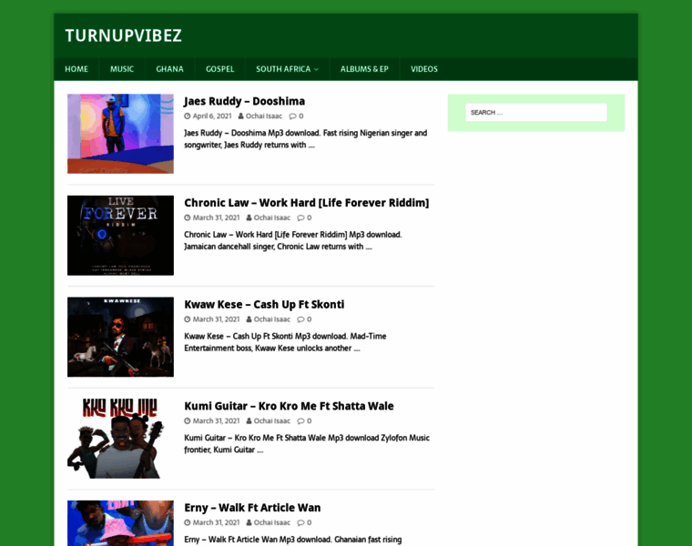 Turnupvibez.com thumbnail