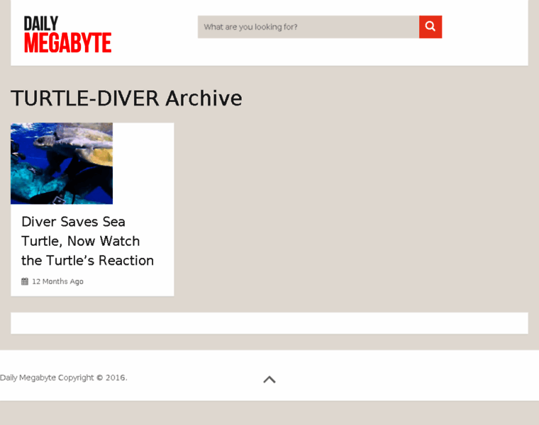 Turtle-diver.dailymegabyte.com thumbnail