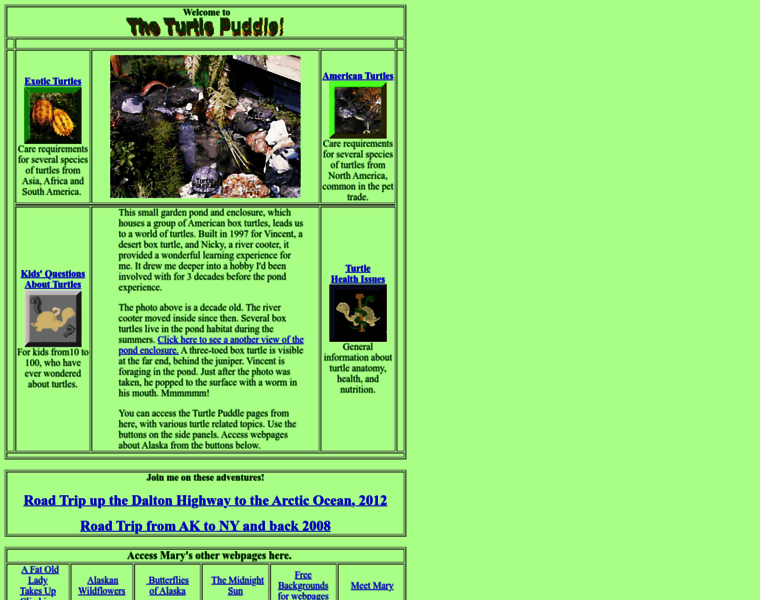 Turtlepuddle.org thumbnail